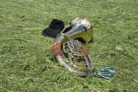 silver musical instrument on grass thumbnail