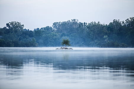 green trees beside body of water during daytime thumbnail