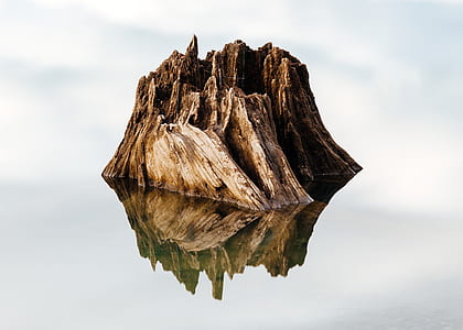 brown islet with reflection on water selective focus photography thumbnail