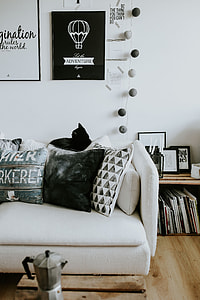Contemporary black-and-white home decor thumbnail