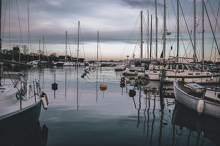 boats parked on water thumbnail