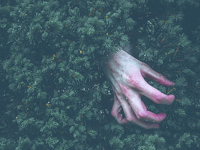 right human hand touching green leaf plant during daytime thumbnail