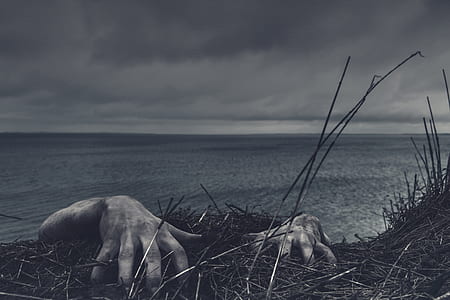 person climbing on hill with grass near the ocean thumbnail