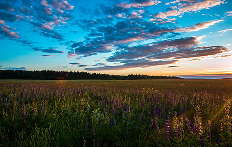 Green Meadows Near Mountain Under Calm Sky thumbnail