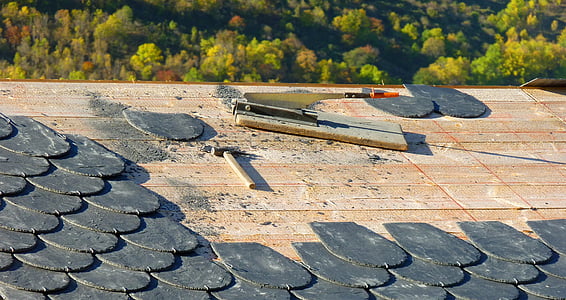 brown hammer on roof thumbnail