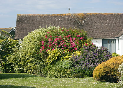 long-angle photography of garden of flowers thumbnail