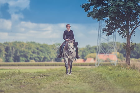 woman riding horse on grass field thumbnail