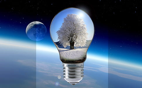 light bulb with tree illustration thumbnail