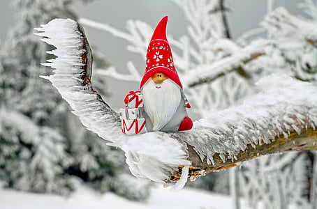 gray and white gnome on trunk illustration thumbnail