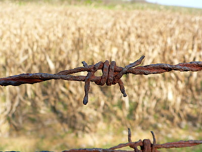 rusty brown barbwire during daytime close-up photography thumbnail