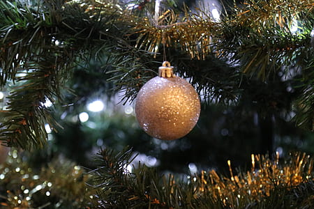 blur, tree, ball, sphere thumbnail