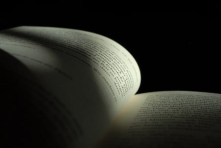 white book with black texts thumbnail