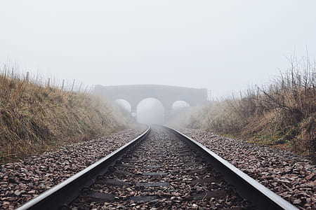 trail rail and bridge covered by fog thumbnail