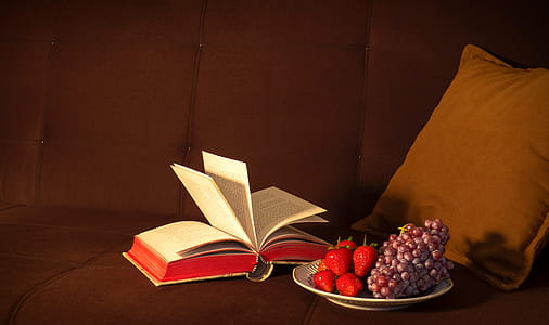 Book and fruit thumbnail
