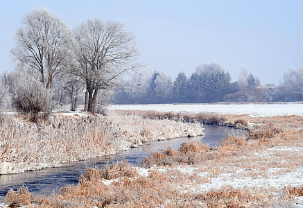brown grass beside body of water thumbnail