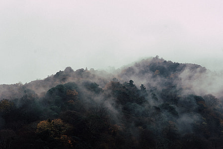 fog covered mountain photo thumbnail