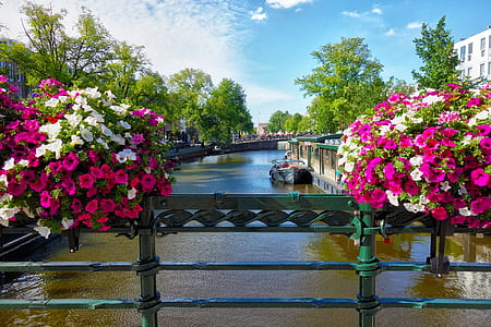 two bouquets of flowers on top of bridge railings thumbnail