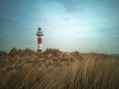 green grass overlooking white and red lighthouse under white and blue cloudy skies at daytime thumbnail