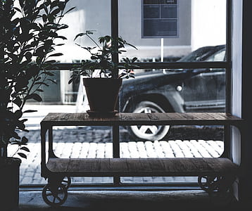 grayscale photography of flower pot on utility cart inside room thumbnail