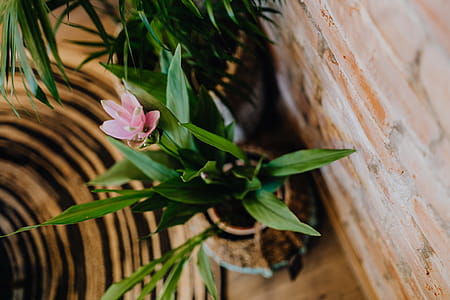 Details of modern interior with green plants thumbnail