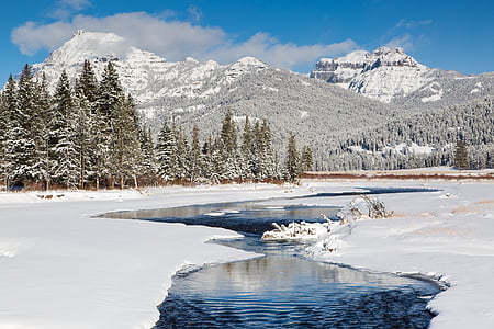 green trees near mountains covered by snow thumbnail