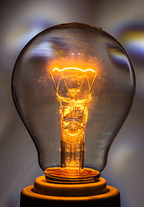 focus photo of bulb thumbnail