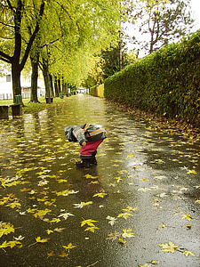 person standing beside hedge at daytime thumbnail