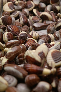 Seafood, Chocolate thumbnail