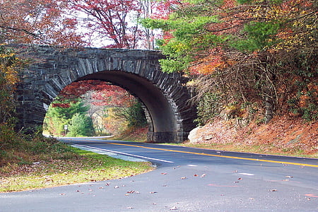 tunnel bridge surrounded by trees during daytime thumbnail