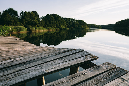 Reading book at lake thumbnail