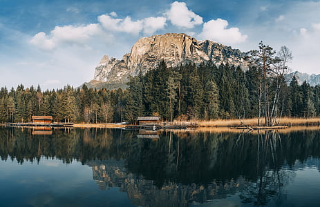 green trees near body of water thumbnail