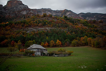 white painted house near trees and mountain thumbnail