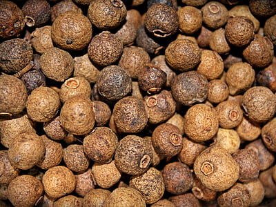 round brown fruits thumbnail