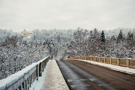Bridge in winter thumbnail