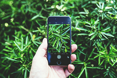 Man capturing nature photo with his mobile iPhone smartphone thumbnail