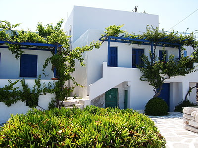 white and blue concrete structure surrounded with plants thumbnail
