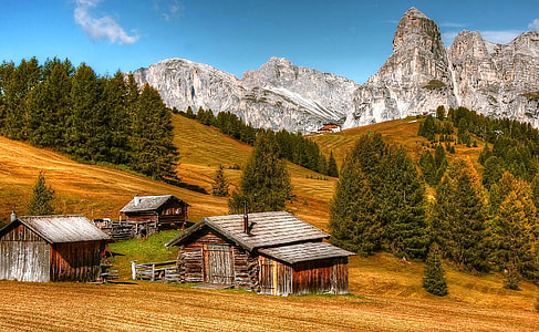 photography of brown cabin near trees and mountain during daytime thumbnail