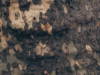 brown wood thumbnail