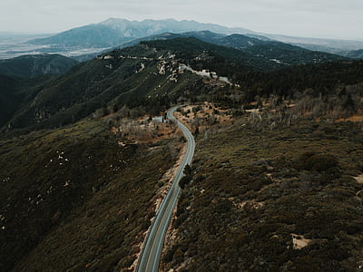 aerial photography of road surrounded by trees at daytime thumbnail