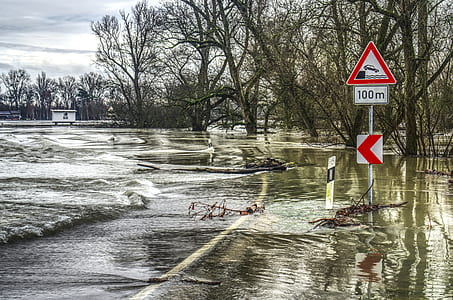flood on street thumbnail