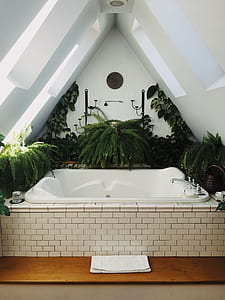 white bathtub surrounded by green plant thumbnail