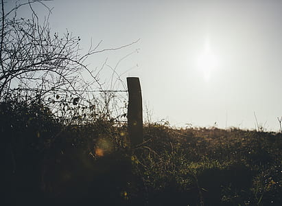 photo of wooden fence and grass thumbnail