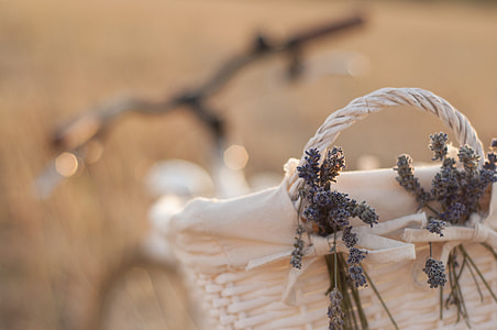 selective focus photography of gray woven basket thumbnail