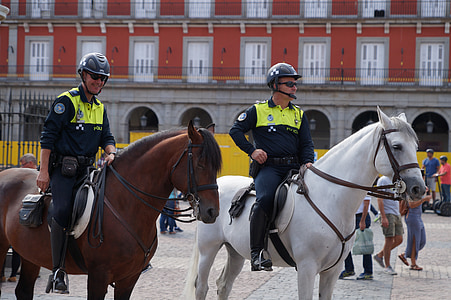 two person riding horse at daytime thumbnail