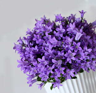 purple petaled flowers on white ceramic vase thumbnail