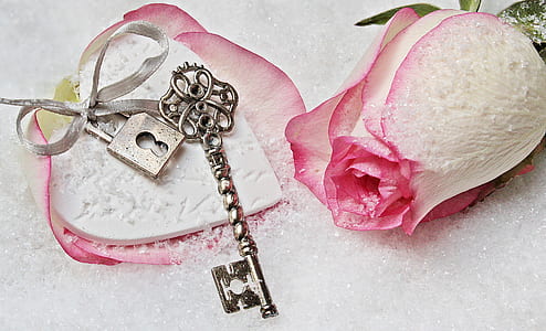 pink rose and gray skeleton key thumbnail
