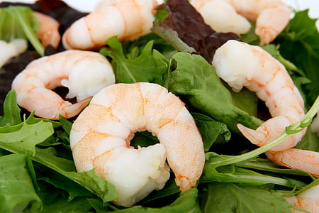 white prawns on green leafy vegatables thumbnail