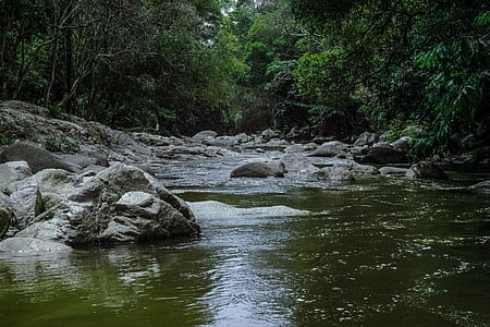 water stream surrounded with trees thumbnail