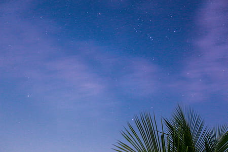 Starry Sky during Dusk thumbnail