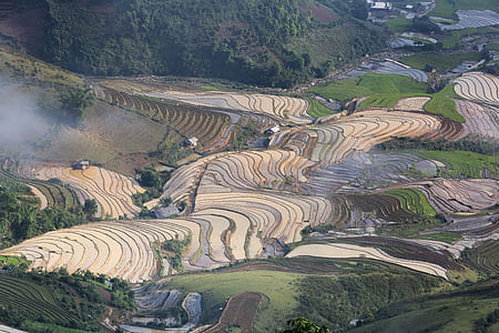 high-angle green rice terraces at daytime thumbnail